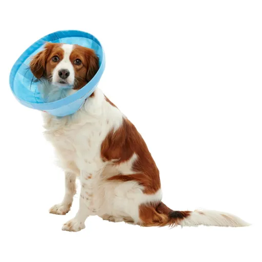 BUSTER Soft Flex Collar ochranný golier 1 ks, Veľkosť: XS