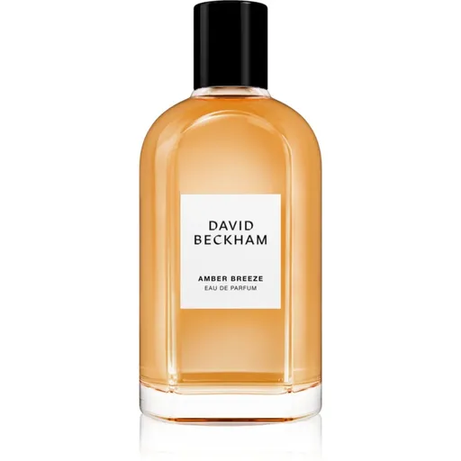 David Beckham Amber Breeze parfumovaná voda pre mužov 100 ml