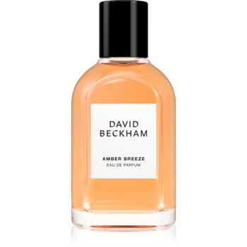 David Beckham Amber Breeze parfumovaná voda pre mužov 50 ml