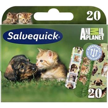 SALVEQUICK Náplasť pre deti Animal Planet 20 ks (7310610014063)