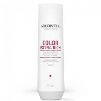 Goldwell Šampón pre extra starostlivosť o farbené vlasy Dualsenses Color Extra Rich (Brilliance Shampoo) 250 ml