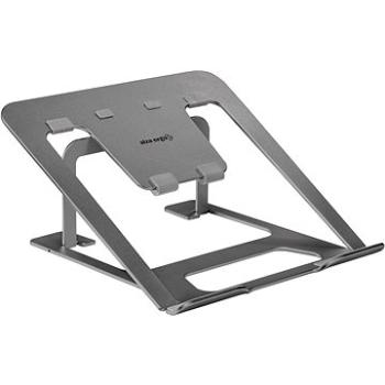 AlzaErgo Stand LS120 sivá (APW-EGLS120Y)