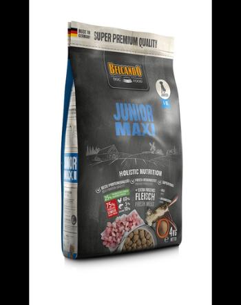 BELCANDO Junior Maxi hrana uscata pentru cainii cu varsta 4 luni+, talie L-XL, 4 kg