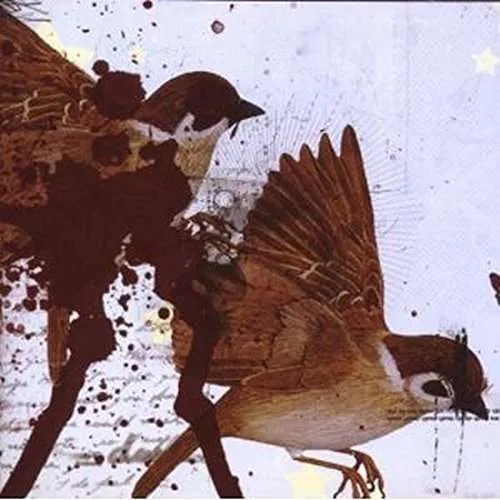 Bring me the horizon, Bring Me The Horizon - This Is What The Edge Of Your Seat Was Made For, DVD