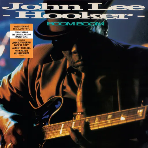 John Lee Hooker: Boom Boom LP