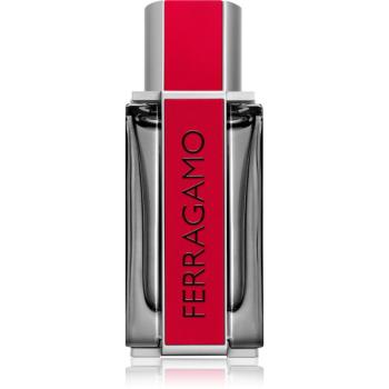 Ferragamo Red Leather parfumovaná voda pre mužov 100 ml