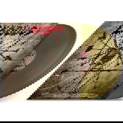 Exhibit B: the Human Condition