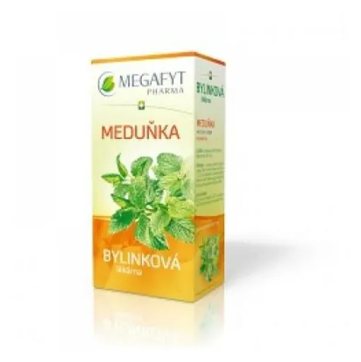 MEGAFYT Bylinková lekáreň medovka 20 sáčkov