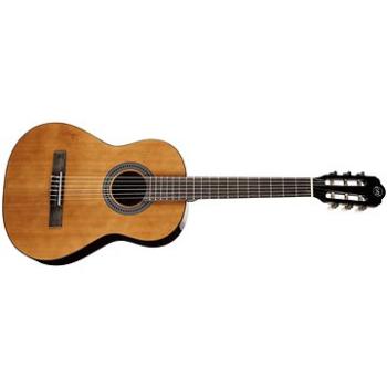 TANGLEWOOD EM C2 (HN230186)