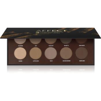 Affect Color Brow Colection paleta pre líčenie obočia 10x2 g