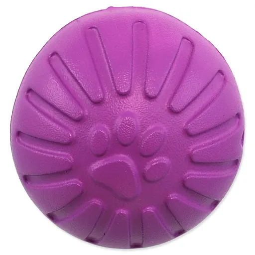 Hračka Dog Fantasy EVA Lopta fialová 9cm