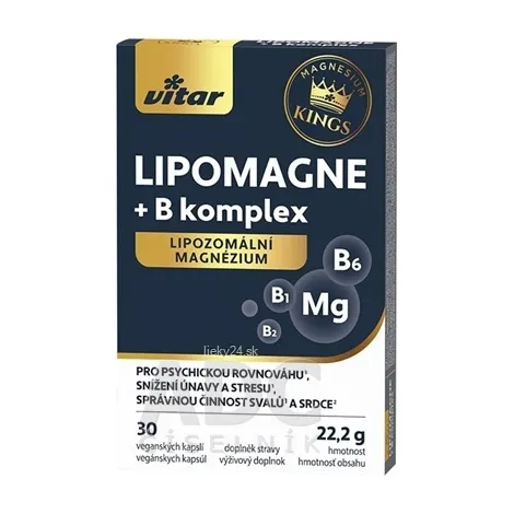 VITAR KINGS LIPOMAGNE + B komplex