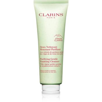 Clarins Cleansing Purifying Gentle Foaming Cleanser čistiaca pena 125 ml