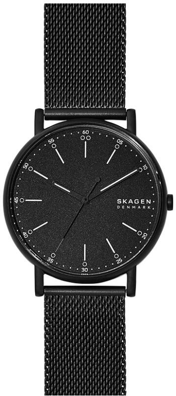Skagen Signature SKW6579