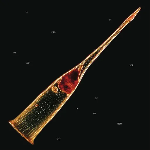 Leprous, Leprous Melodies Of Atonement Limited Edition Mediabook CD, CD