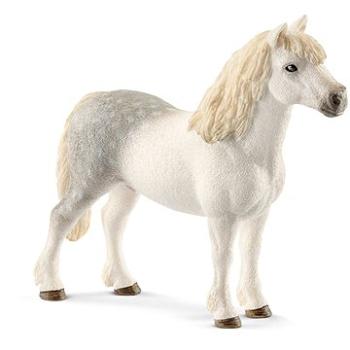 Schleich 13871 - Waleský poník, žrebec (4055744020520)