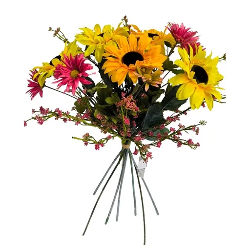 Kytica slnečnica, gypsophila, dvojtvárka, v. 48 cm