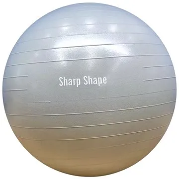 Sharp Shape Gym Ball 55 cm grey (2496651209806)