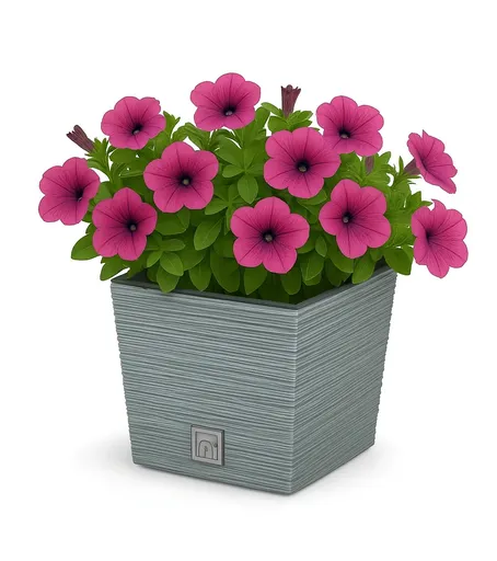 ProsperPlast Kvetináč FURU SQUARE LOW | betón 30 cm