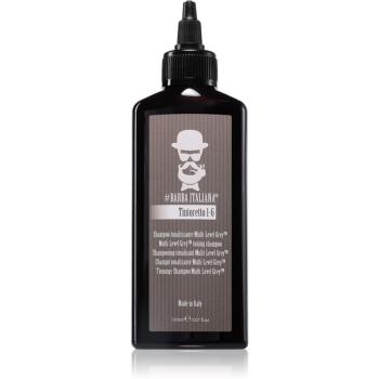 Barba Italiana Tintoretto Multi Level Grey tónovací šampón na vlasy 150 ml