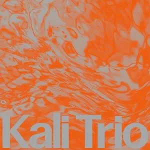 Kali Trio The Playful Abstract 1 LP