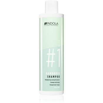 Indola Dandruff šampón proti lupinám 300 ml