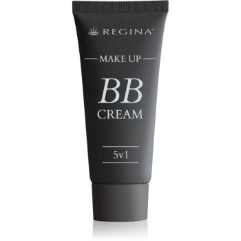 Regina Professional Care BB krém 5 v 1 odtieň 01 Light 40 g