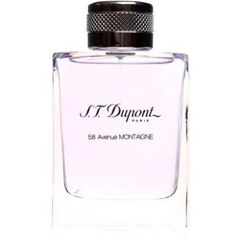 S.T. DUPONT 58 Avenue Montaigne EdT 100 ml (3386460038201)