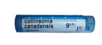 BOIRON Collinsonia canadensis CH9 granule 4 g