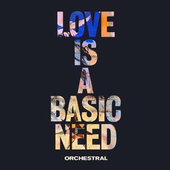 EMBRACE - LOVE IS A BASIC NEED (ORCHESTRAL), Vinyl