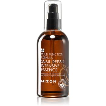 Mizon Multi Function Formula  Snail obnovujúca pleťová esencia 100 ml