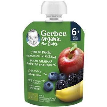 GERBER Organic vrecko jablko, banán, čučoriedka a černica 90 g (8445290308108)