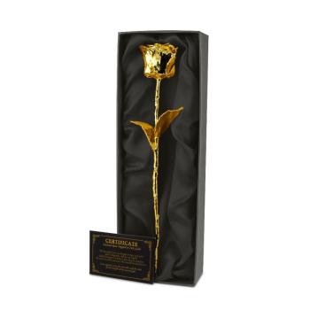 Zlatá ruža – 24K