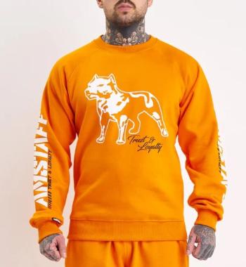Amstaff Logo 2.0 Sweatshirt Orange - 2XL
