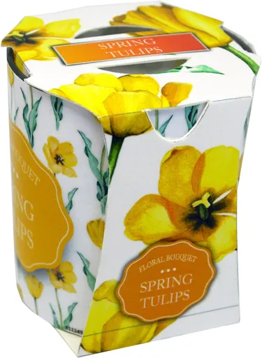 ADMIT - Sviečka v skle Tulips