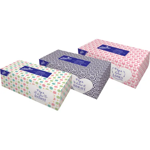 LINTEO Papierové vreckovky 2-vrstvové BOX 200 ks