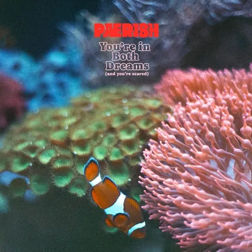 Paerish, YOU'RE IN BOTH DREAMS (AND YOU'RE SCARED), CD