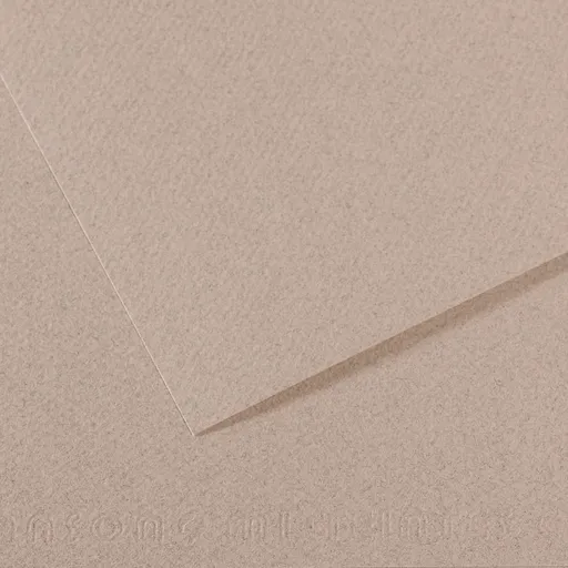 CANSON MI-TEINTES - Buničinou farbený papier 426 - gris clair, 50 ks