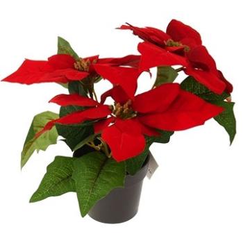 Dekorácia VIANOČNÁ RUŽA 24 cm, Červená (386987)