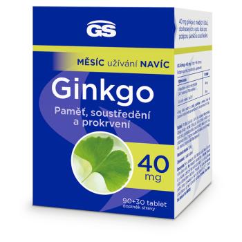 GS Ginkgo 40 mg 90 + 30 tabliet