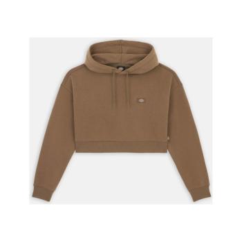 Dickies  OAKPORT CROPPED HOODIE  Mikiny Hnedá