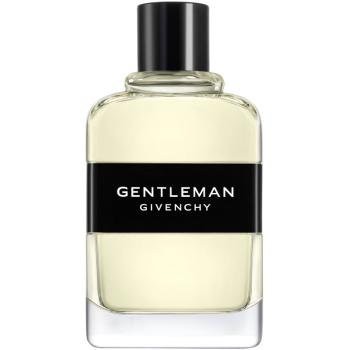 GIVENCHY Gentleman Givenchy toaletná voda pre mužov 100 ml