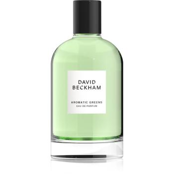 David Beckham Aromatic Greens parfumovaná voda pre mužov 100 ml