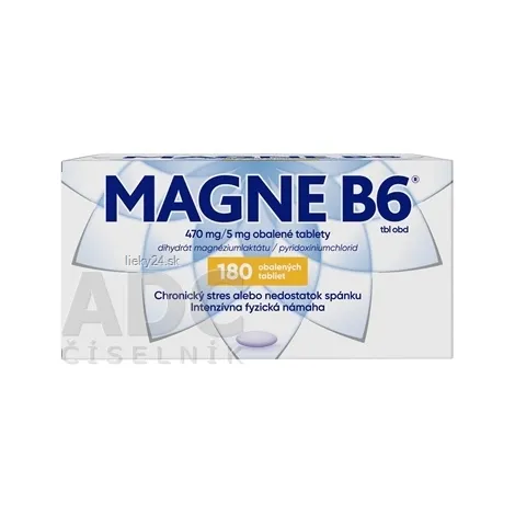 MAGNE B6