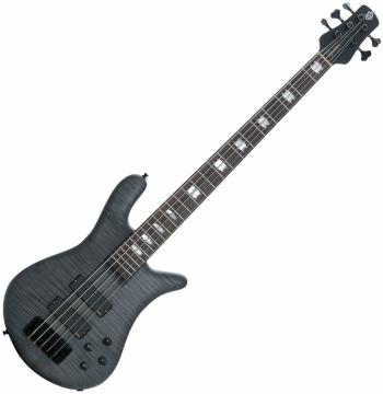 Spector EuroLX 5 Black Stain Matte 5-strunová basgitara