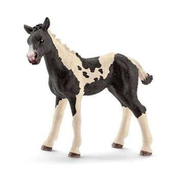 Schleich 13803 Žriebä Pinto (4059433322650)