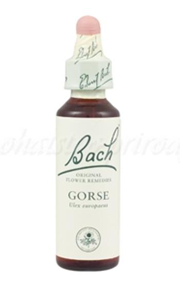 Gorse - Útesovec európsky 20 ml - bachove kvapky