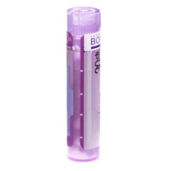 BOIRON Influenzinum CH30 4 g
