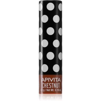 Apivita Lip Care Chestnut tinted tónujúci balzam na pery 4,4 g