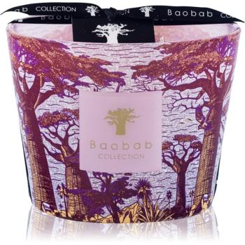 Baobab Collection Sacred Trees Massasso vonná sviečka 10 cm